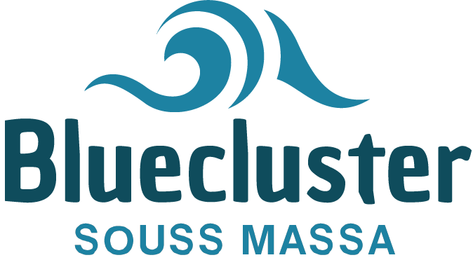 blueclustersoussmassa.com
